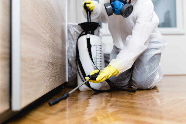 Wildlife Control Services in New Middletown, OH