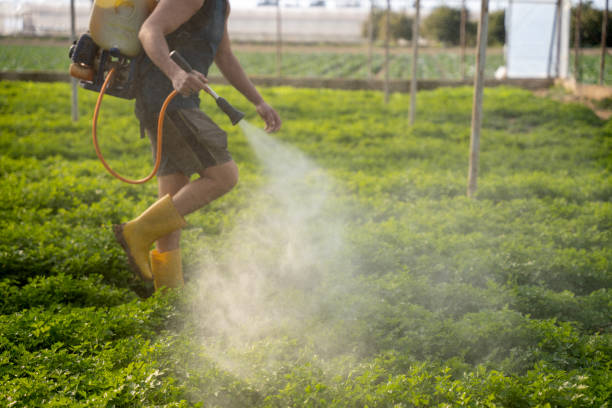Best Best Pest Control Companies  in New Middletown, OH
